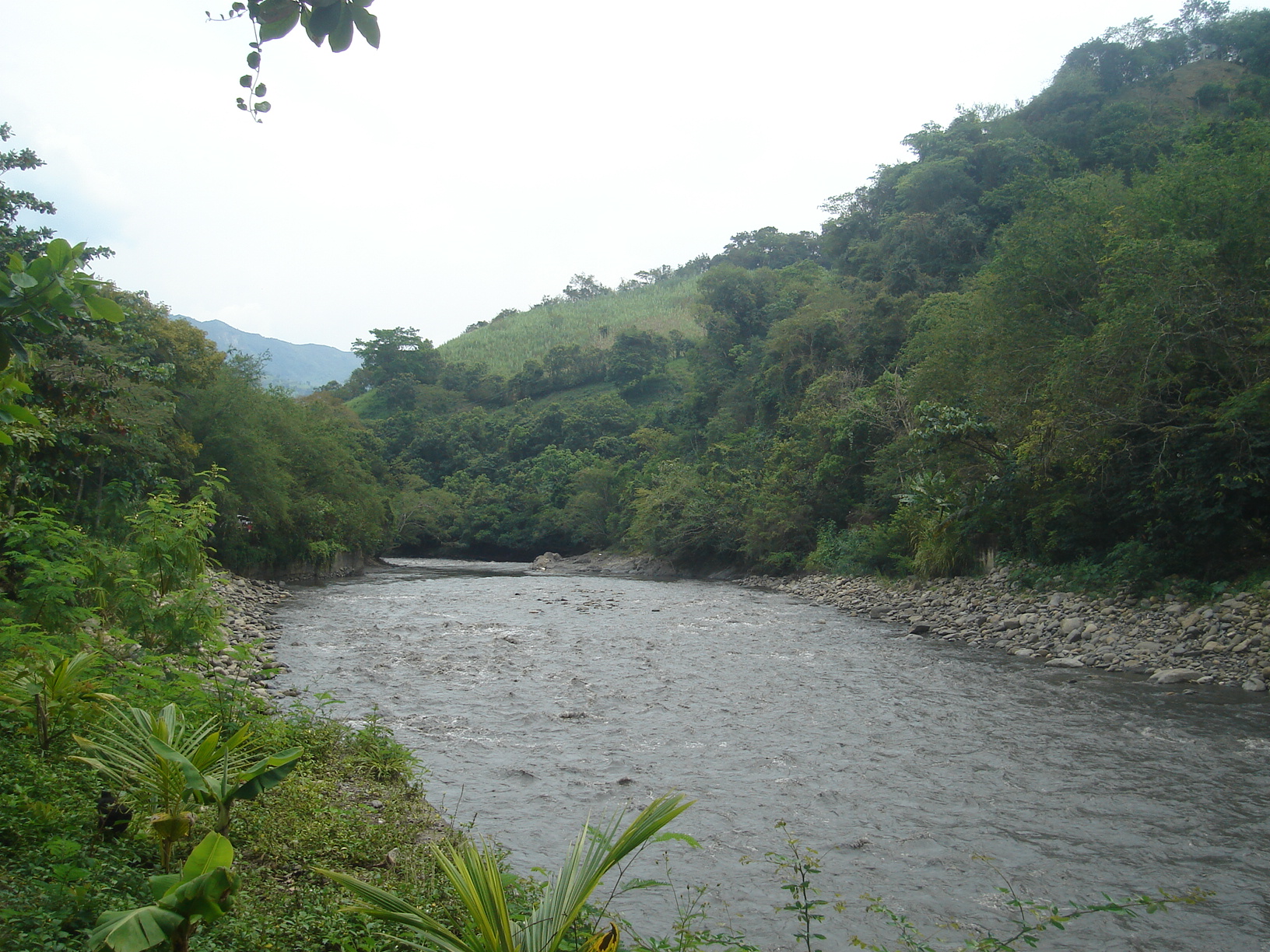 Protección Ambiental