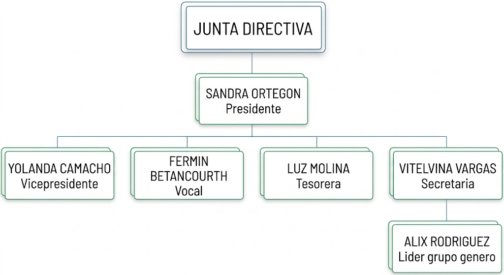 Organigrama Institucional ACAPVI
